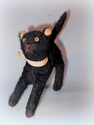 z(1910) English cat. Angela's cats