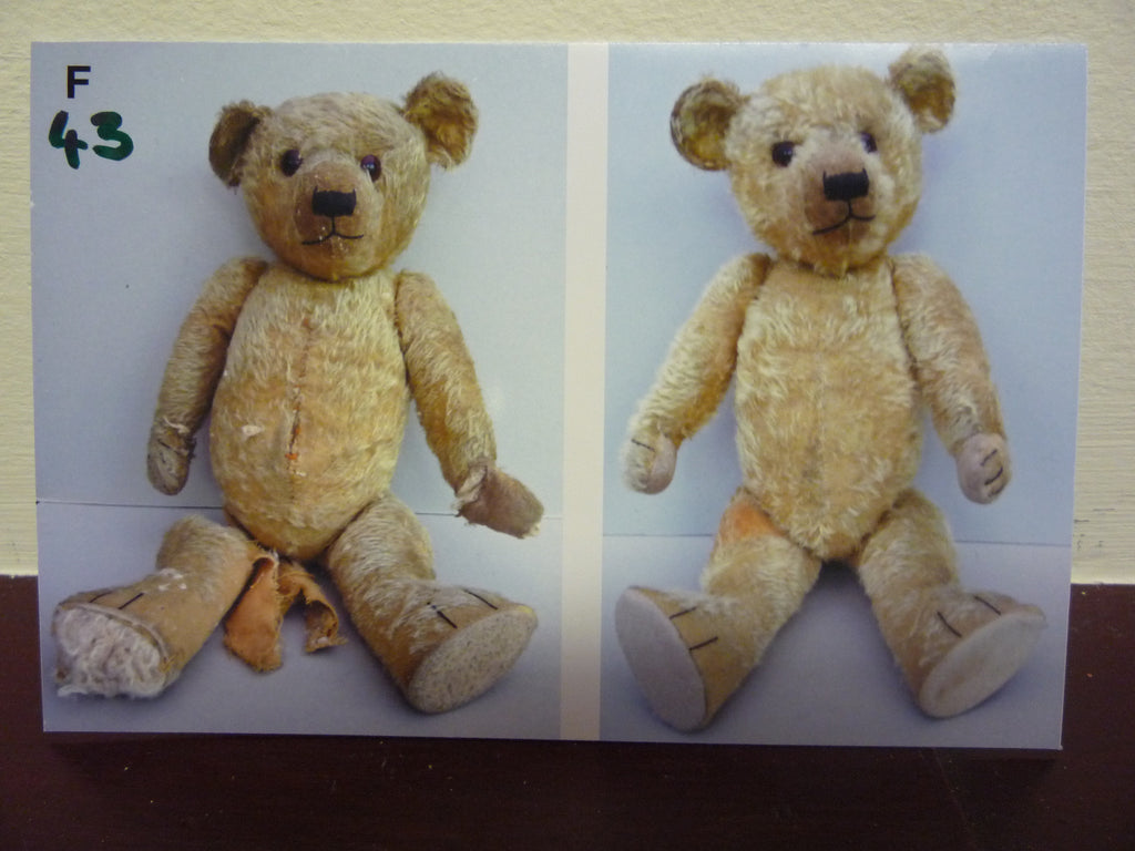 Aloysius bear for sale deals