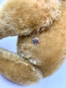 Sold (1919) Bing. Button Sir Bailey For sale £1650