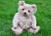 Sold (1920) A Moritz Pappe. Miss Pinky £800
