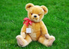 Acton Golden Boy (1950) Sold £160