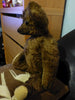 z(1919-1925) National French and Novelty Co. Brown Bear. Evelyn Chambers