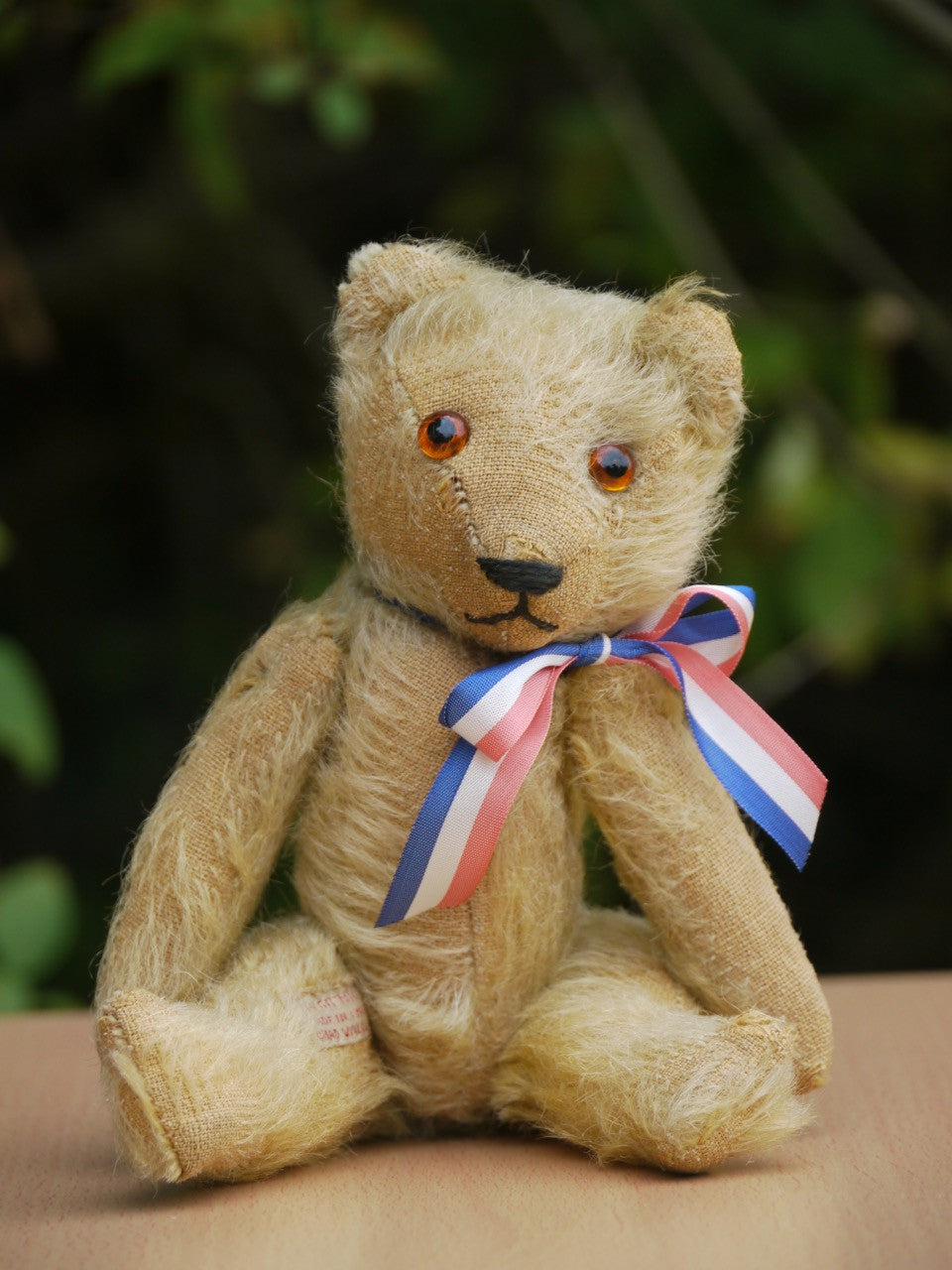 ⭐︎希少書籍⭐︎ 「TEDDY BEAR」アメリカンエディション初版1972年 ⭐︎希少書籍⭐︎ 「TEDDY BEAR」アメリカンエディション初版1972年