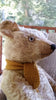 z1915 Teddy Toys. Major Benjy. Laura Fitzpatrick