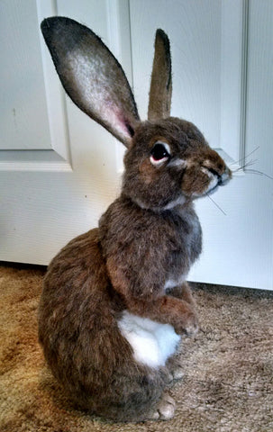 (9B) D2 Naturalistic animal. Cottontail. Stevi Tiangco