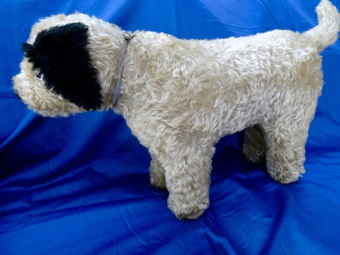 (1920) ISA Button Izzie Dog Sold £270