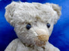 (1910) Bing. Button. White Teddy