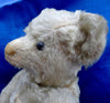 (1910) Bing. Button. White Teddy