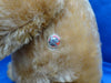 Sold (1919) Bing. Button Sir Bailey For sale £1650