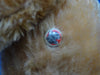 Sold (1919) Bing. Button Sir Bailey For sale £1650