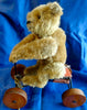 (1915) Steiff. Button. Record Teddy Sold £7800