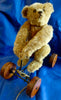 (1915) Steiff. Button. Record Teddy Sold £7800