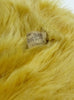 (1955)label. Tru to Life