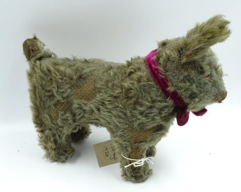 Sold(1914) ISA Sprog Dog