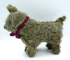 Sold(1914) ISA Sprog Dog
