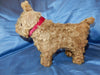 Sold(1914) ISA Sprog Dog