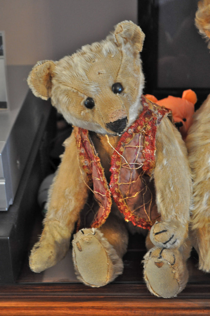 z(1904) Steiff PB28 Roddy. The Jena Pang Collection – Grandma's Teddies