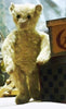 z(1907) Steiff Harley Quinn. The Bear Necessities