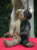 z(1910). Jasper. Harlequin bear. Showcased by Josie Rockett