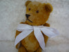 SOLD(1909) Pin Jointed Bear Frankie American