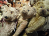 (1900) A quick look at Hugglets newbies