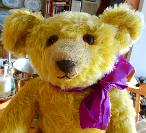 Early Moritz Pappe Large Teddy Bear Early 1900's Vintage 20" Toy  Bear